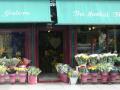 Flowers Galore - Florist in Malmesbury, Flower Shop Malmesbury logo