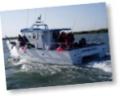 Dawnbreaker Charters - Thames Estuary Sea Fishing logo