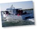 Dawnbreaker Charters - Thames Estuary Sea Fishing image 1