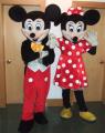 Disney Costume Hire image 1