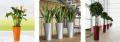 Buds Interior landscaping and office plant rental image 1
