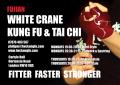 Fujian White Crane Kung Fu image 3