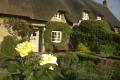 Little Thatch image 1