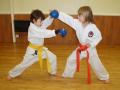 SHEFFORD KARATE CLUB image 3