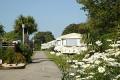 Mounts Bay Caravan Park image 3