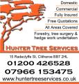 Hunter Tree Services image 2
