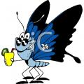 butterfly domestic cleaning services image 2