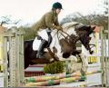 Lynsey Tyson Equine - Riding Instructor & Artist image 1