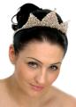Fairytale Chic - Tiaras by Sally Claire logo