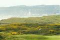 Murcar Links Golf Club image 2