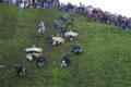 Cheese-Rolling at Cooper's Hill image 9