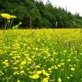 Woodend Farm House Bed and Breakfast image 4