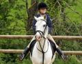 Allendale Equestrian Centre image 2
