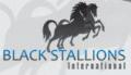 Black Stallions International Trading co logo