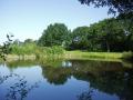 Ferndown Forest Golf Club logo