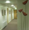 Clifden House Dementia Care Centre image 8