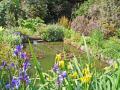 Moyclare Cornish Garden image 5