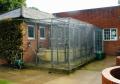 Ifield Park Cattery & Kennels image 3