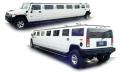 United Limousine Service image 2