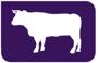 Steak Ltd (formerly Steak Media) logo