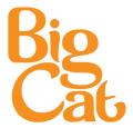 Big Cat Group logo