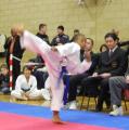 st albans & london colney ITF Tae Kwon Do image 3