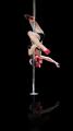 PoleHunnies Pole Dancing School logo