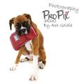 ProPix Studio | Photography Burnley | Photographer Burnley | Portraits | Burnley image 5
