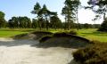 Ferndown Golf Club image 3