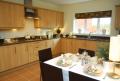 Miller Homes - Cleves Place, Melton Mowbray image 3