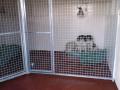 Pyke Boarding Kennels and Cattery image 6