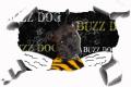 Buzz dog image 1