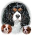 CANINE CUTS DOG GROOMING image 2