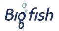 Big fish Recruitment logo