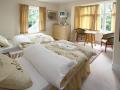 The Gatwick Grove Guest House image 3