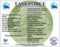 TASKFORCE image 2