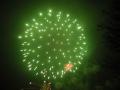Carshalton Firework Display image 2