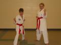 Brentwood Ishinryu Karate image 4