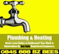 Busy Bees Building Contractors logo