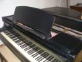 Goonlaze Pianos image 2