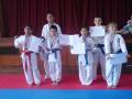 Seven Islands Karate Club image 1