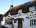 The Swan Inn image 1
