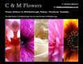 C & M Flowers logo