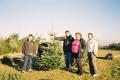 Bradgate Trees image 2