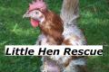Little Hen Rescue image 2