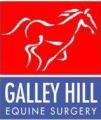 Galley Hill Equine Surgery logo