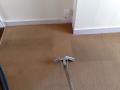 Carpet Cleaning Ipswich - Kesgrave Carpet Care image 2