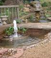 Wayside Water Gardens image 2