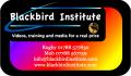 Blackbird Institute image 2