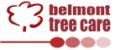 Belmont Tree Care image 1